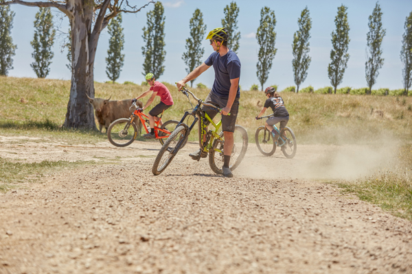 Bike-tours-and-hire